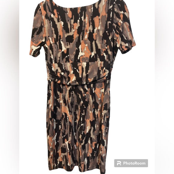 Ann Taylor EUC women’s dress size 6P..  pretty fall colors. - Picture 3 of 7